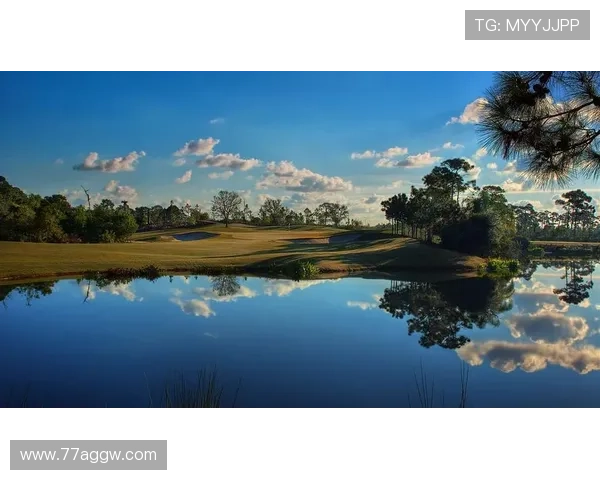 Exploring the Excitement of Badminton Tournaments： A Comprehensive Guide
